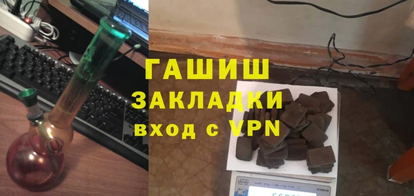 шишки Инсар