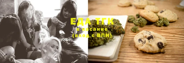 шишки Инсар