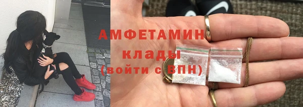 стафф Иннополис