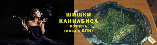 шишки Инсар