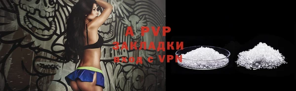 шишки Инсар