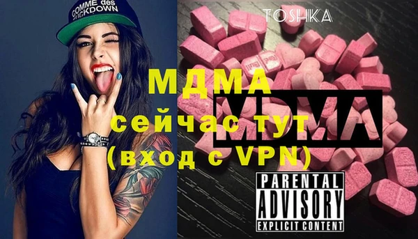 шишки Инсар