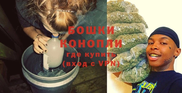 шишки Инсар