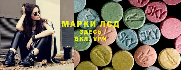 шишки Инсар