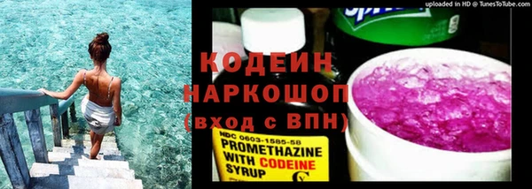 шишки Инсар