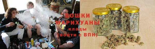 стафф Иннополис