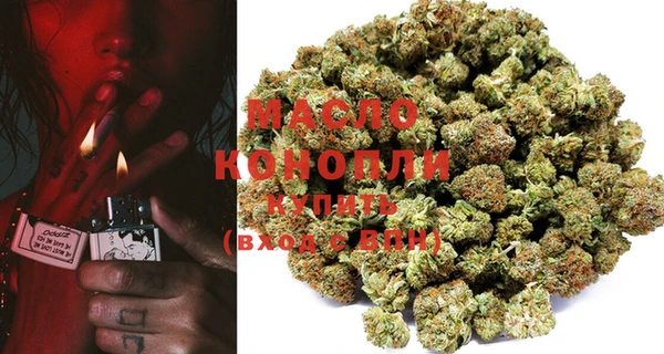 шишки Инсар