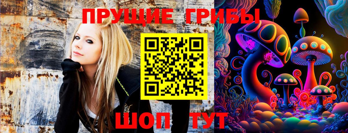 Галлюциногенные грибы Cubensis  Вход с VPN  Среднеуральск 