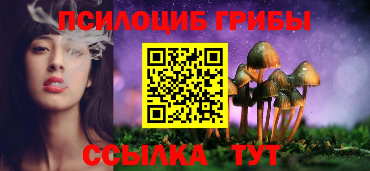 Псилоцибиновые грибы мухоморы Среднеуральск